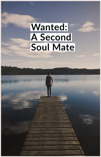 wanted: a second soul mate poster