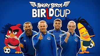 angry birds birld cup 2018 poster