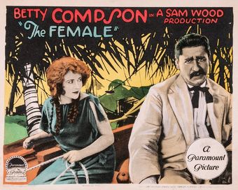 the female 1924 poster