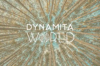 dynamita world poster