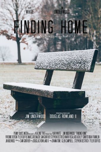 finding home poster