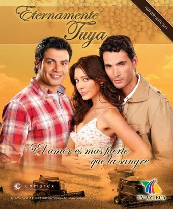 eternamente tuya 2009 poster