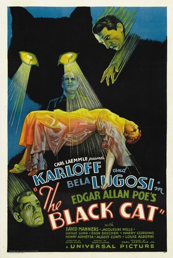 the black cat 1934 poster