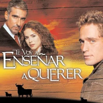 te voy a enseñar a querer 2004 poster