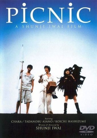 pikunikku 1996 poster