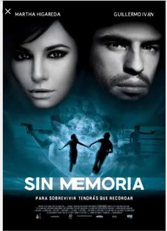 sin memoria 2010 poster