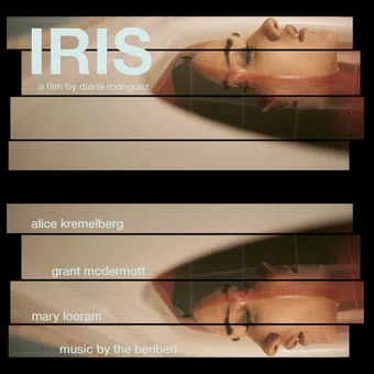 iris 2022 poster