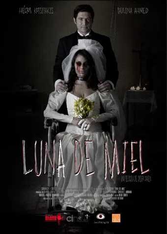 luna de miel 2015 poster