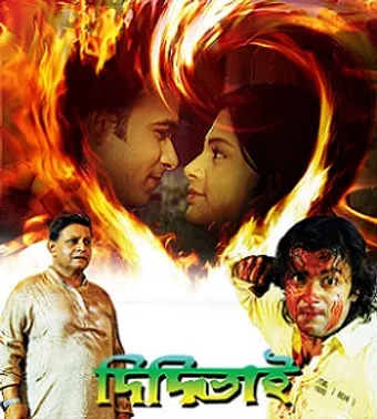 didibhai 2010 poster