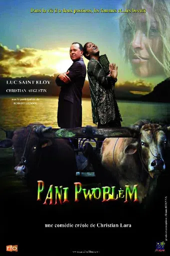 pani pwoblem 2011 poster