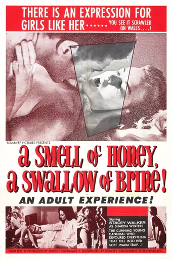 a smell of honey, a swallow of brine 1966 poster