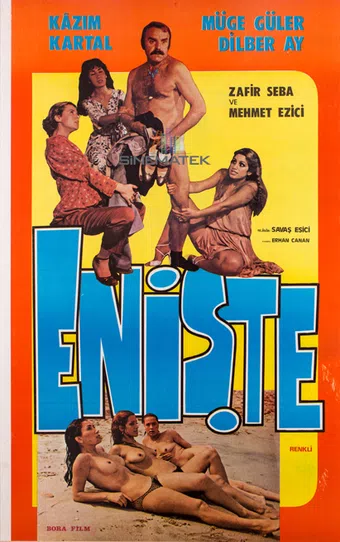 eniste 1979 poster