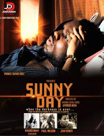 sunny day 2012 poster