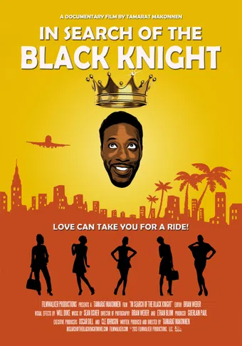 in search of the black knight 2013 poster