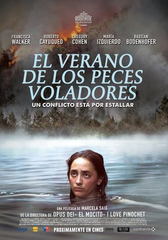 el verano de los peces voladores 2013 poster