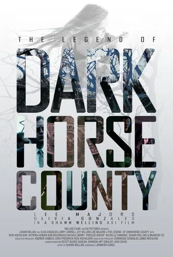 the legend of darkhorse county 2014 poster