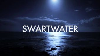 swartwater 2014 poster