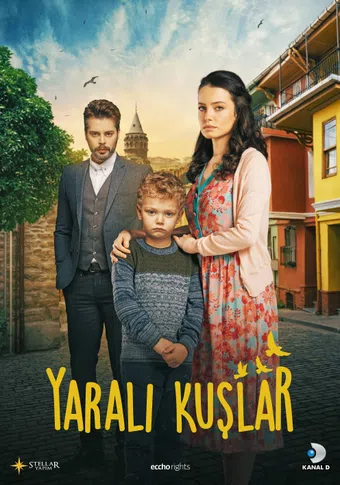 yarali kuslar 2019 poster