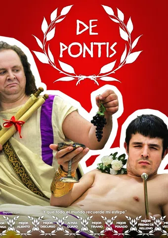 de pontis 2014 poster