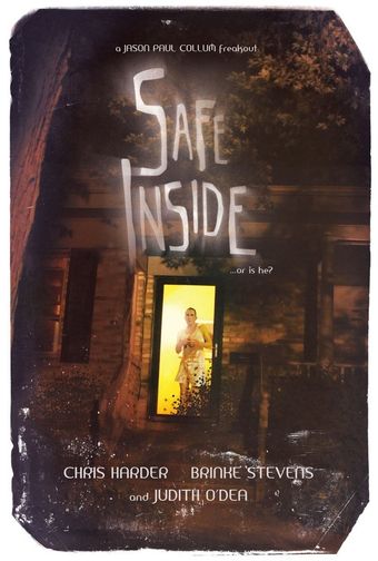 safe inside 2017 poster