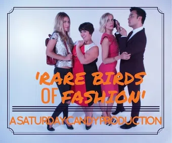 rare birds of fashion 2014 poster