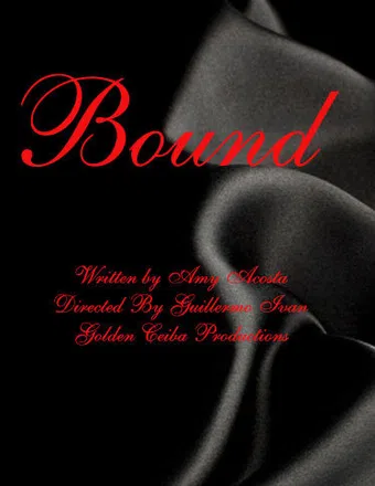 bound poster