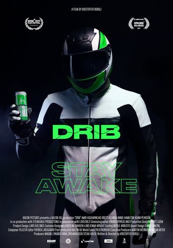 drib 2017 poster