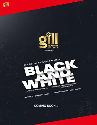 black & white (punjabi) poster