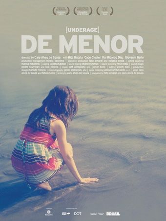 de menor 2013 poster