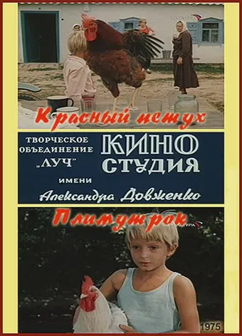 krasnyy petukh plimutrok 1976 poster