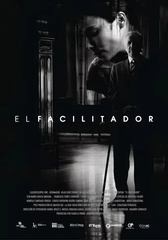 el facilitador 2013 poster