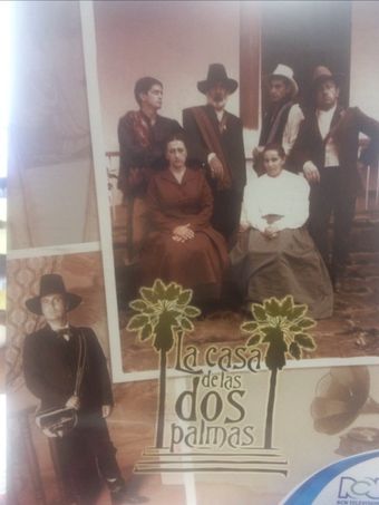 la casa de las dos palmas 1991 poster