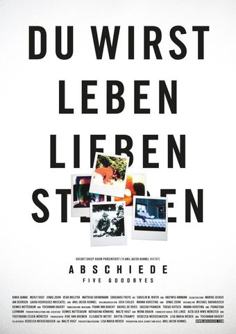 abschiede 2011 poster