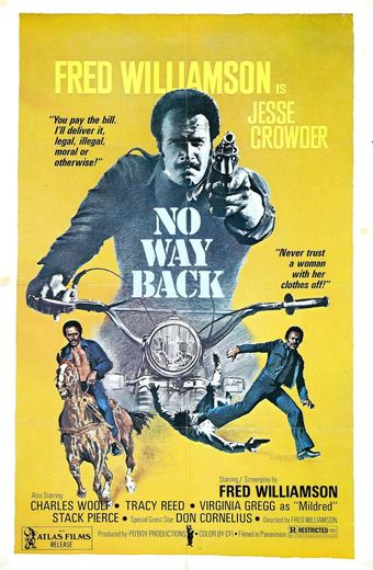 no way back 1976 poster