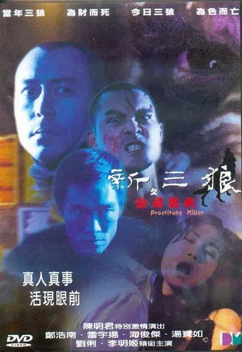 san sam long: foon cheung tou foo 2000 poster