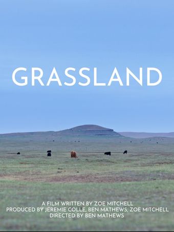 grassland 2023 poster