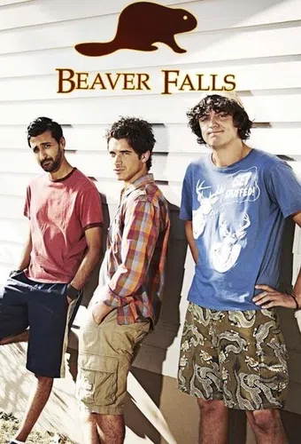 beaver falls 2011 poster