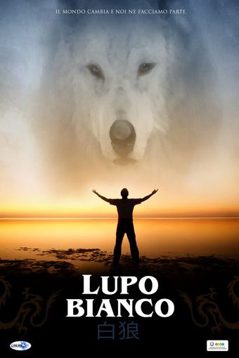 lupo bianco 2022 poster