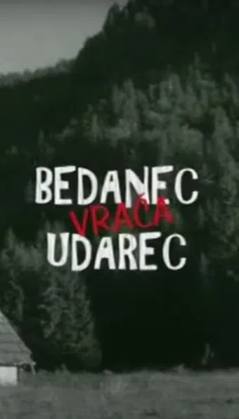 bedanec vraca udarec 2011 poster