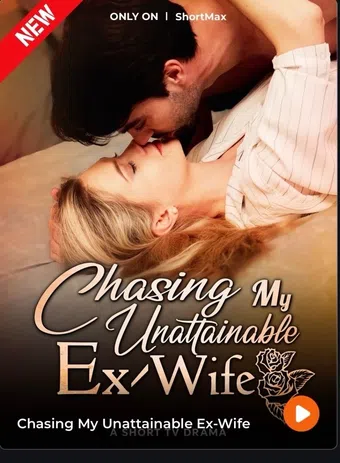 chasing my unattainable wife 2025 poster