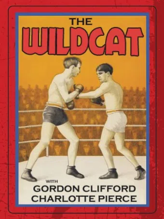 the wildcat 1925 poster