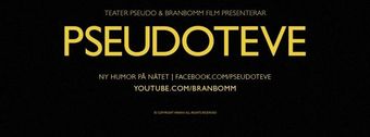 pseudoteve 2014 poster