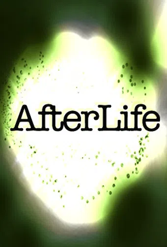 afterlife 2005 poster