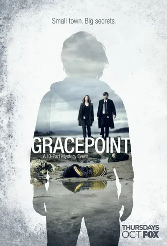 gracepoint 2014 poster