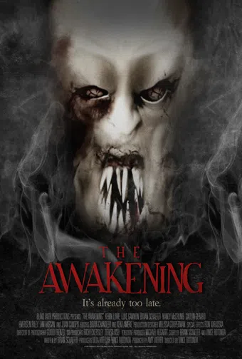 the awakening 2010 poster