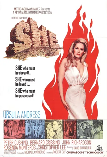 she 1965 poster