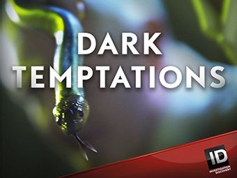 dark temptations 2014 poster