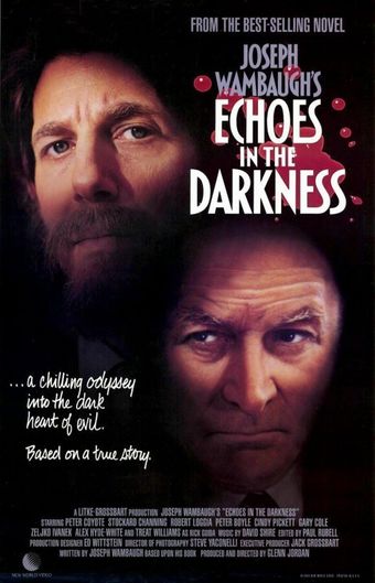 echoes in the darkness 1987 poster