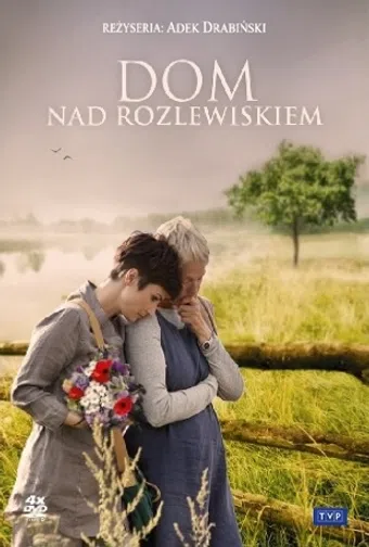 dom nad rozlewiskiem 2009 poster