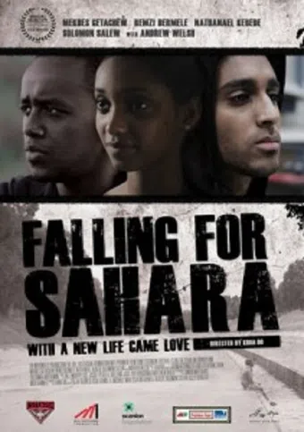 falling for sahara 2011 poster